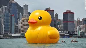 yellow duck hk harbor
