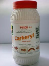 carbaryl